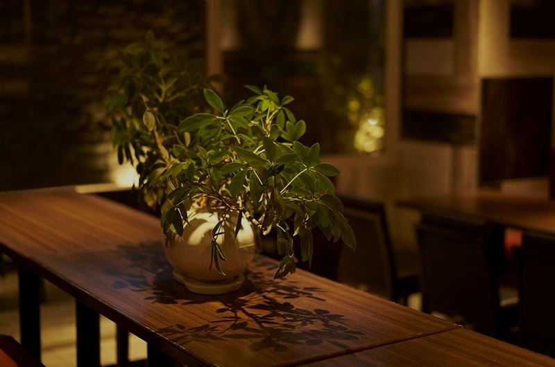 SQUARE 植物と照明